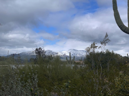 Mar 2 - Our back porch view, snow on the mountains. Brrrrr.
